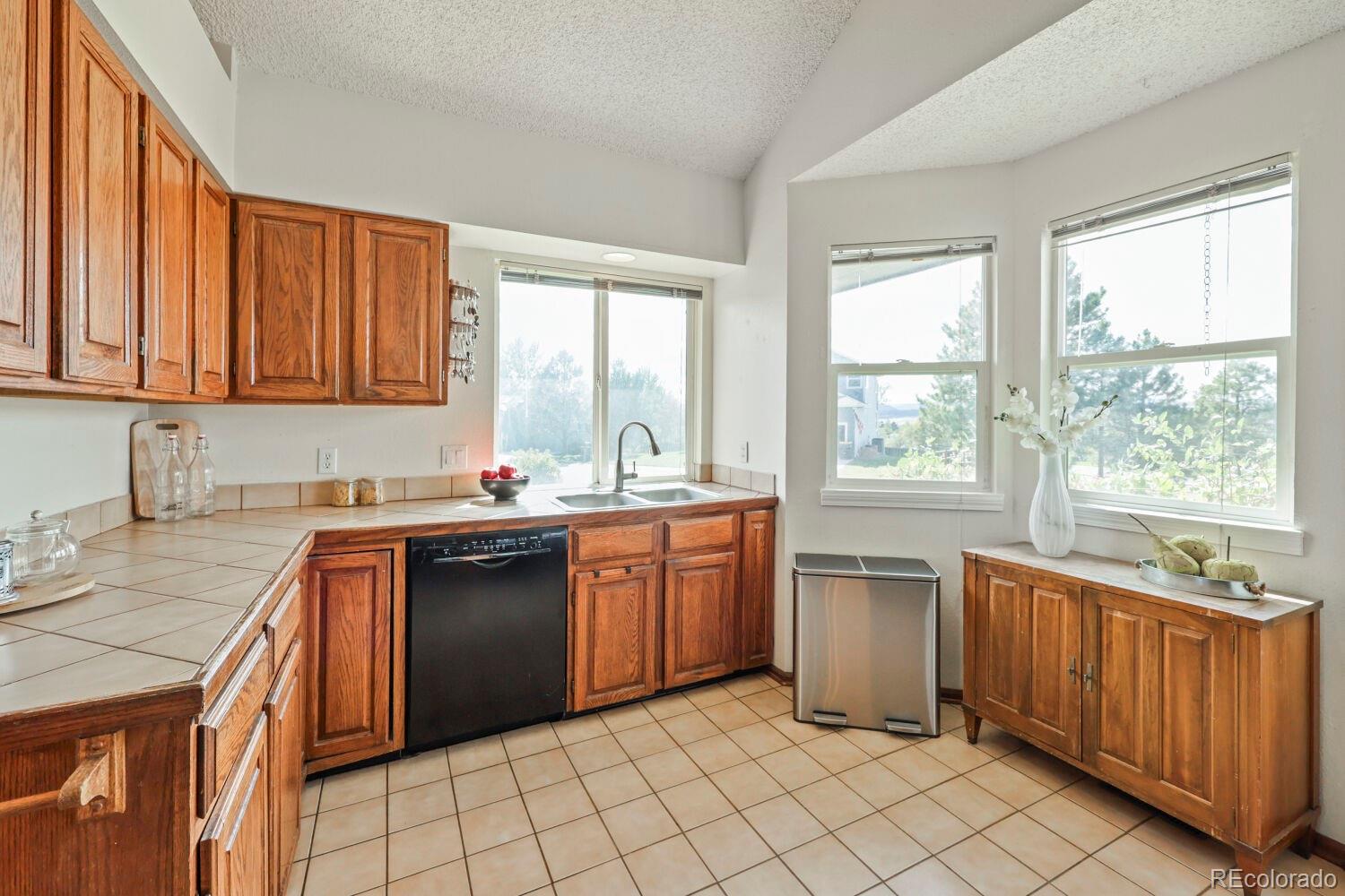 MLS Image #6 for 2324  meadows lane,castle rock, Colorado