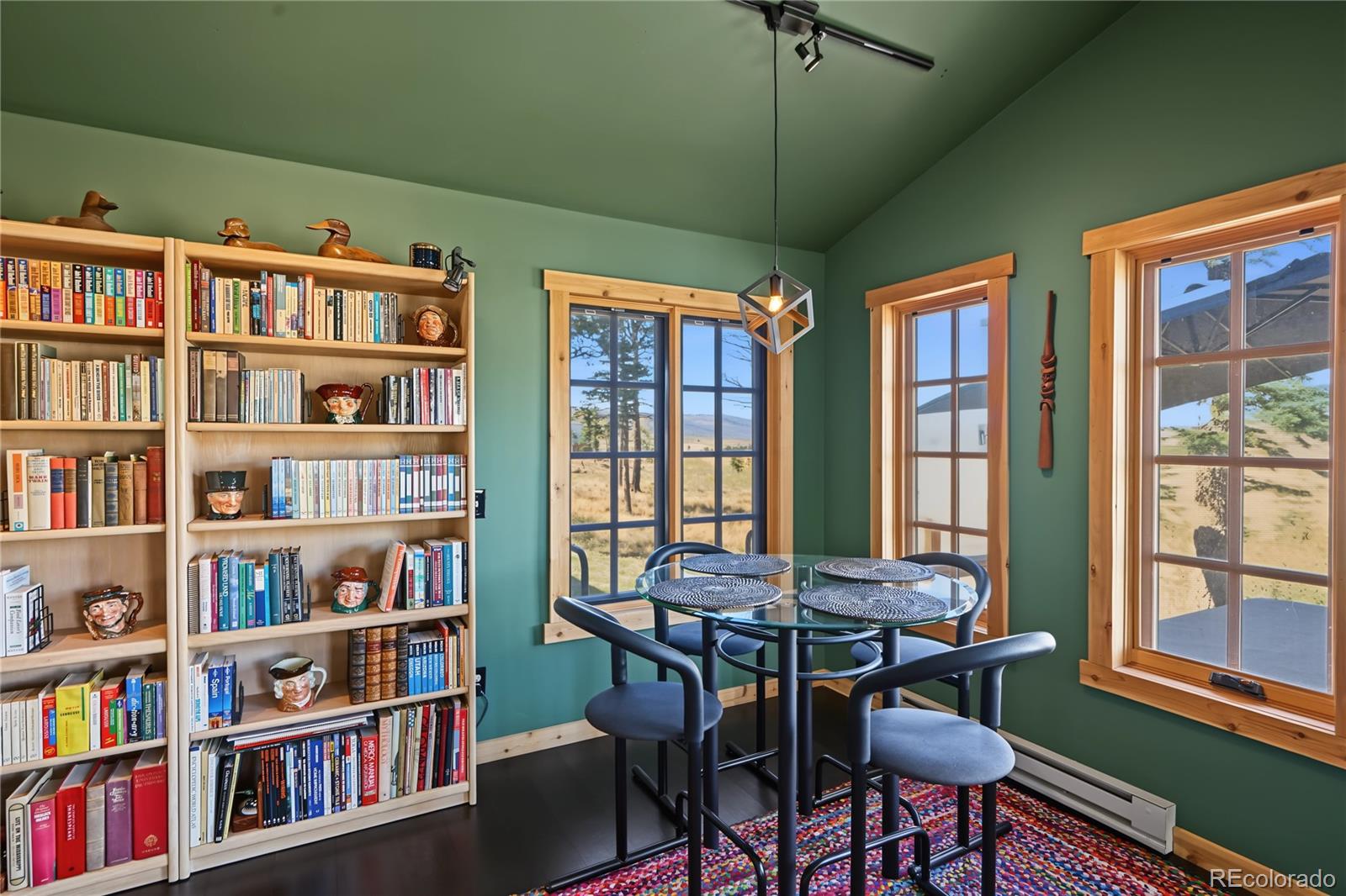 MLS Image #20 for 2110  sigler drive,fort garland, Colorado