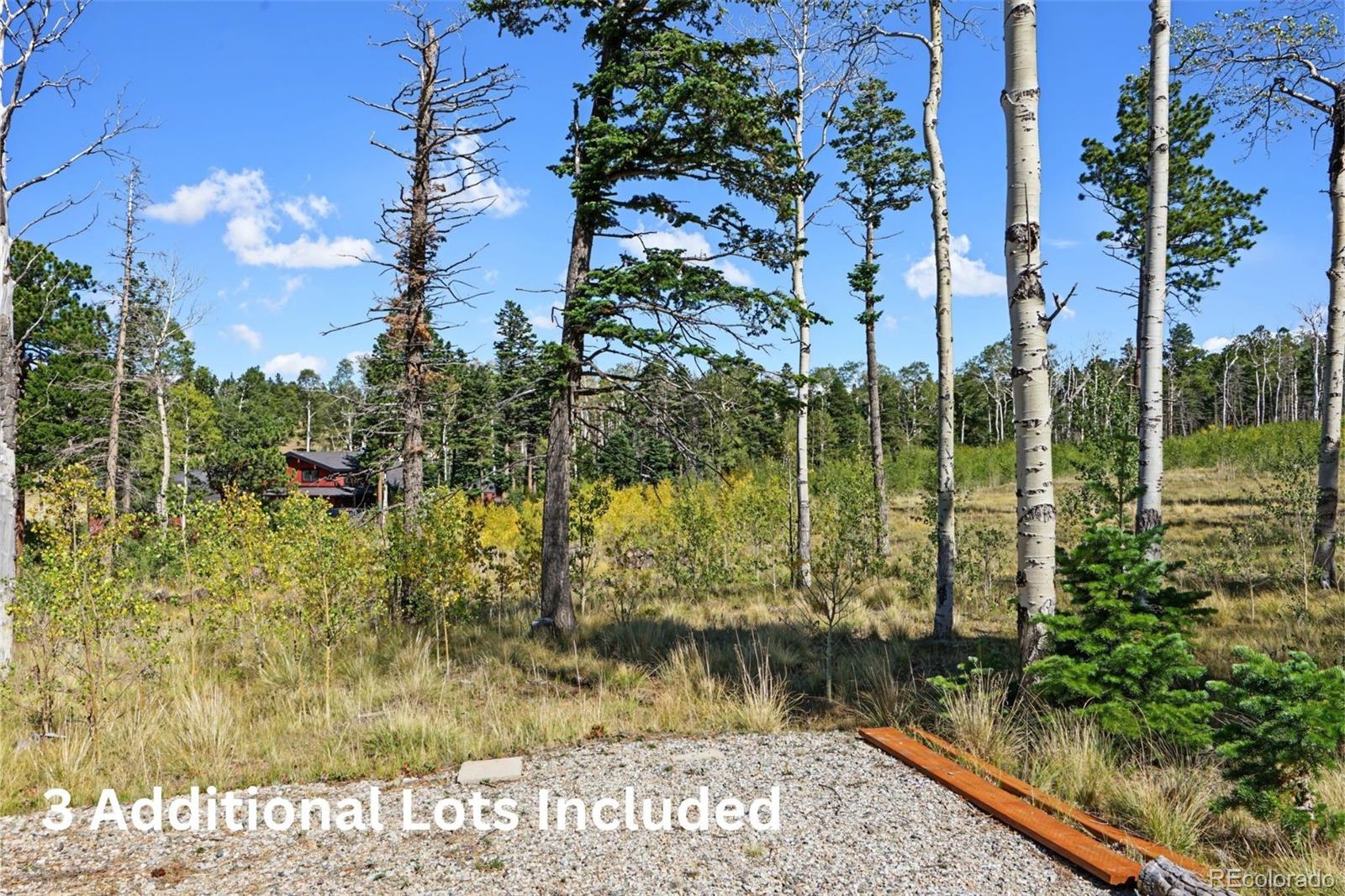 MLS Image #39 for 2110  sigler drive,fort garland, Colorado