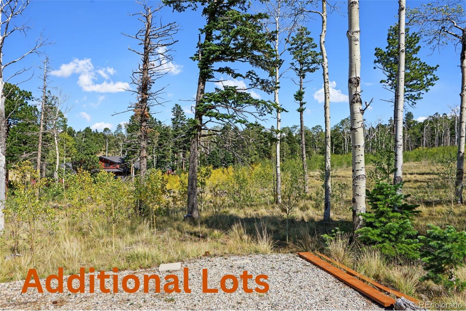 MLS Image #43 for 2110  sigler drive,fort garland, Colorado