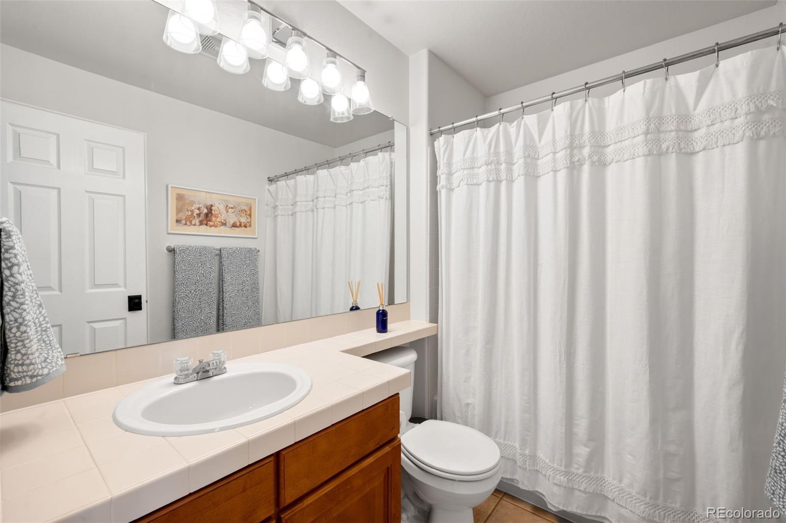 MLS Image #19 for 17382 e lake lane,aurora, Colorado