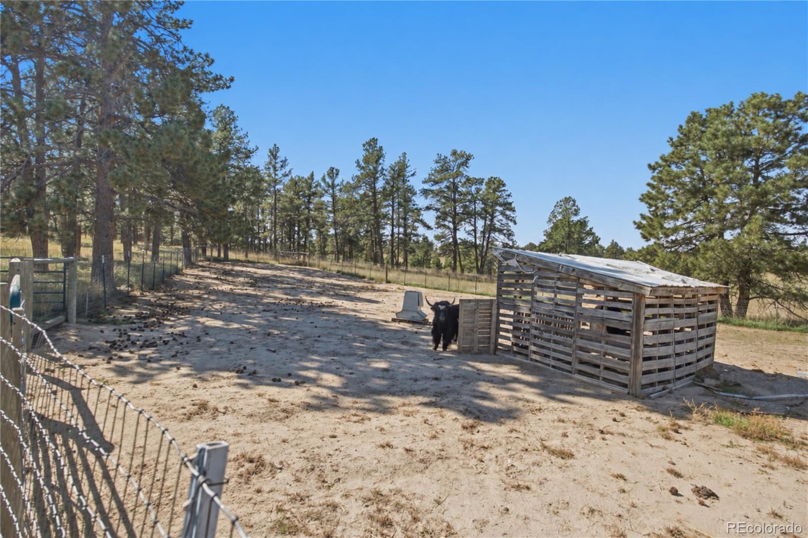 MLS Image #36 for 17347  county road 94 ,calhan, Colorado