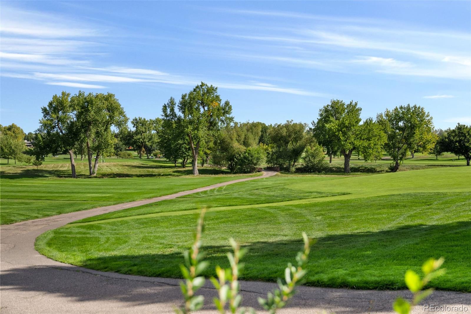 MLS Image #7 for 37  martin lane,cherry hills village, Colorado