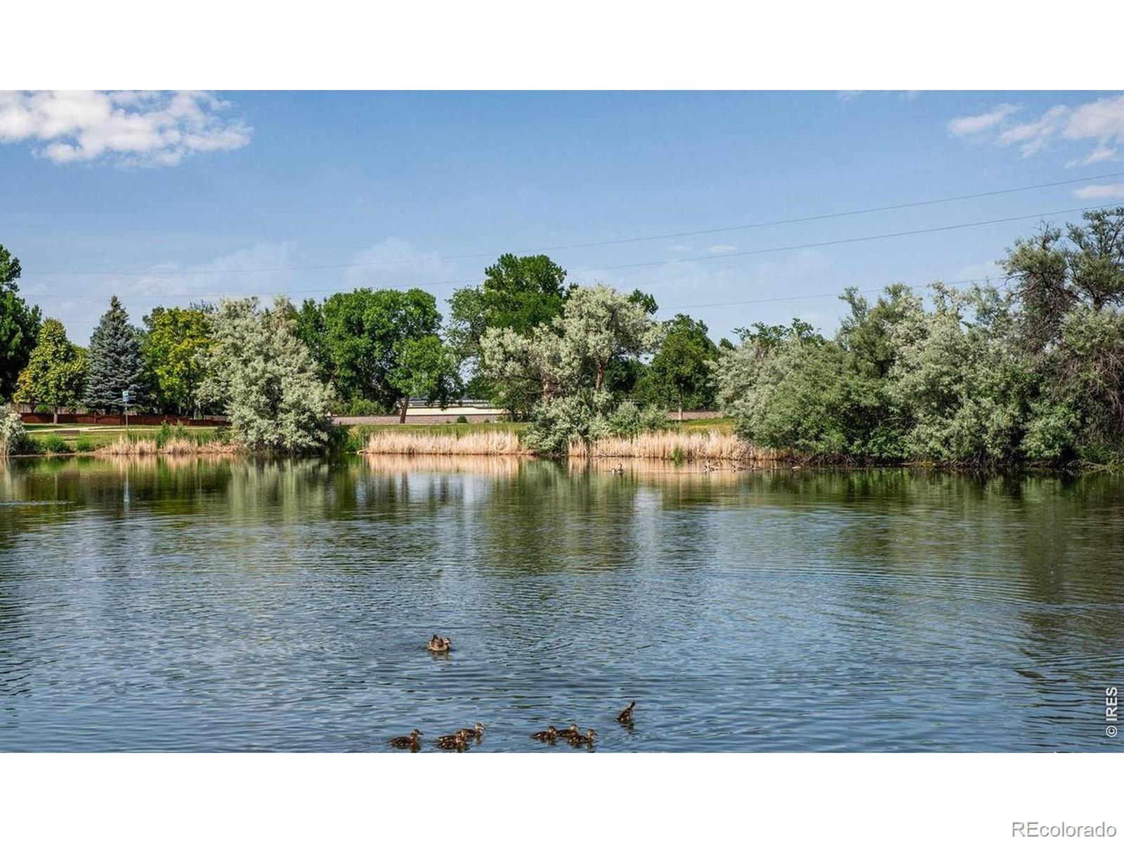 MLS Image #28 for 1200  dorchester court,fort collins, Colorado