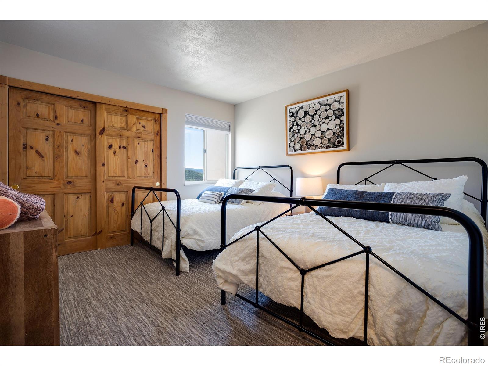 MLS Image #23 for 1805  river queen lane,steamboat springs, Colorado