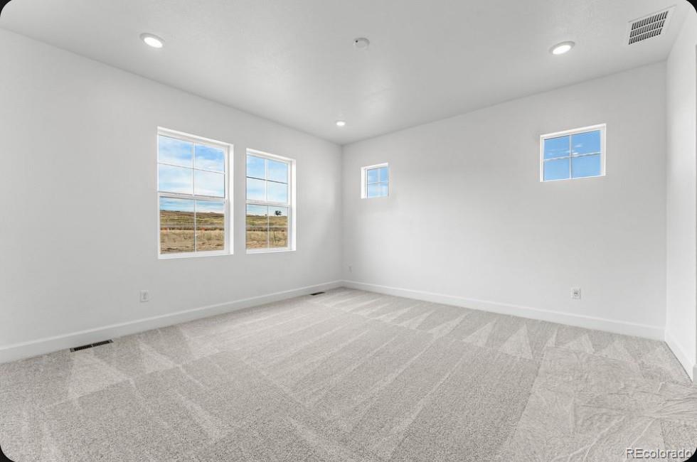 MLS Image #10 for 8954  whiteclover street,littleton, Colorado