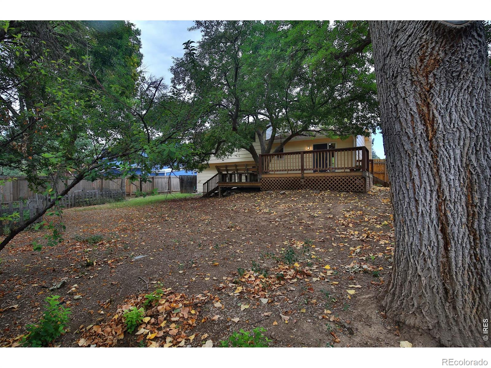 MLS Image #22 for 3512  worwick drive,fort collins, Colorado