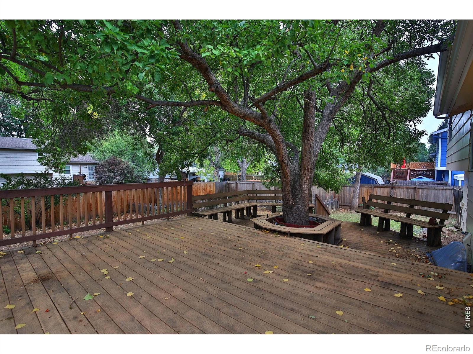 MLS Image #25 for 3512  worwick drive,fort collins, Colorado