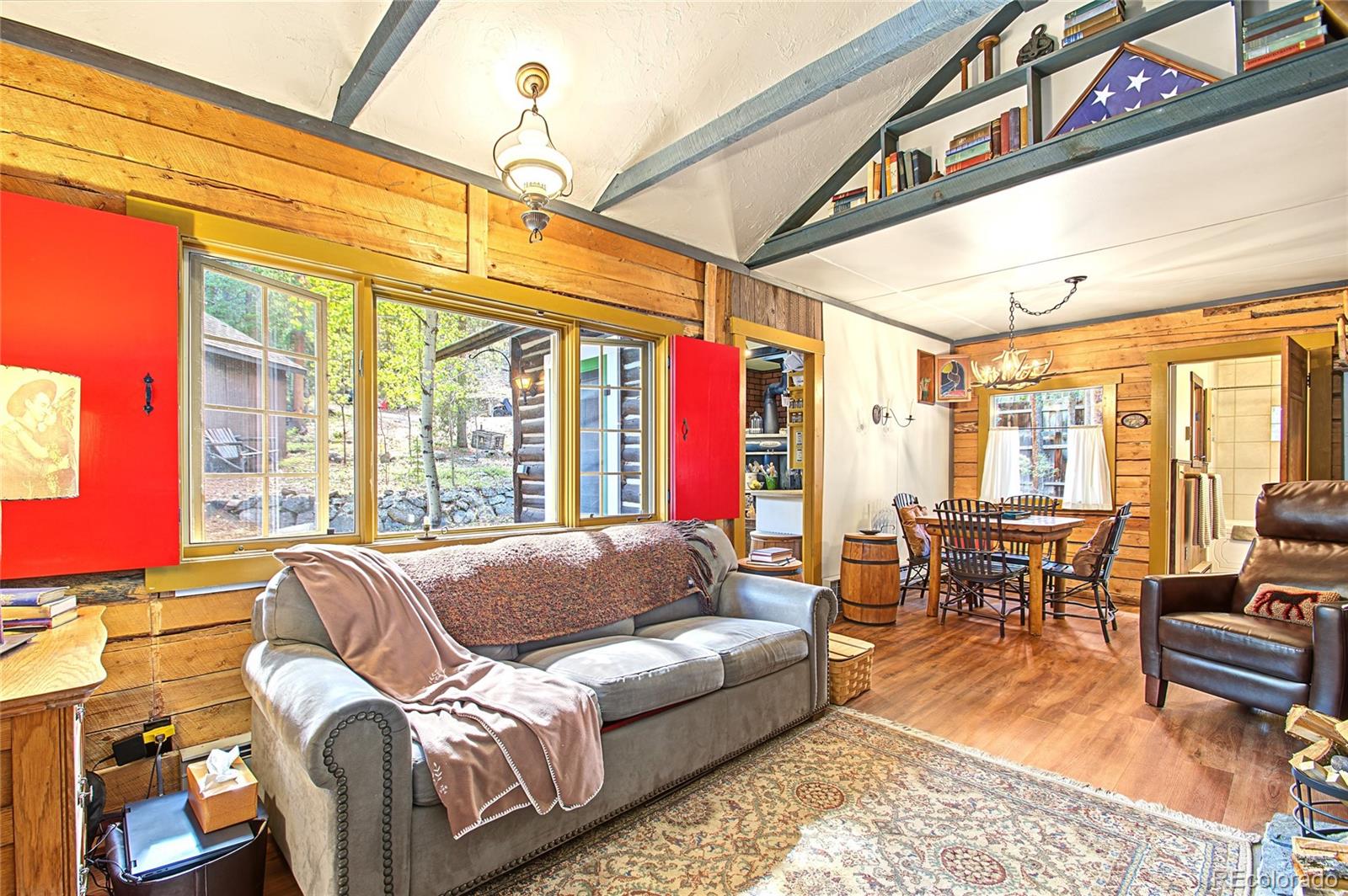 MLS Image #13 for 7739  county road 43 ,bailey, Colorado