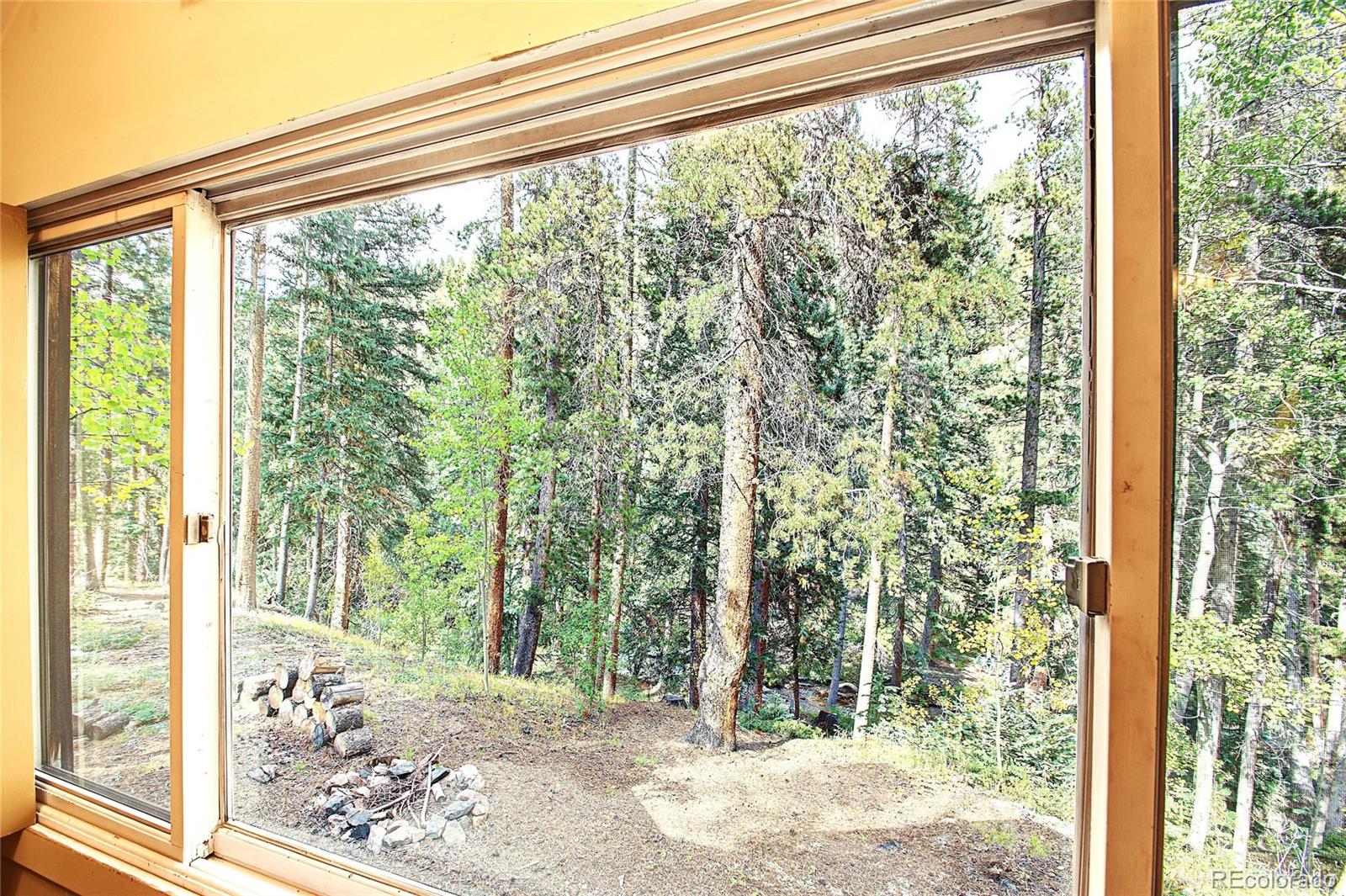 MLS Image #17 for 7739  county road 43 ,bailey, Colorado