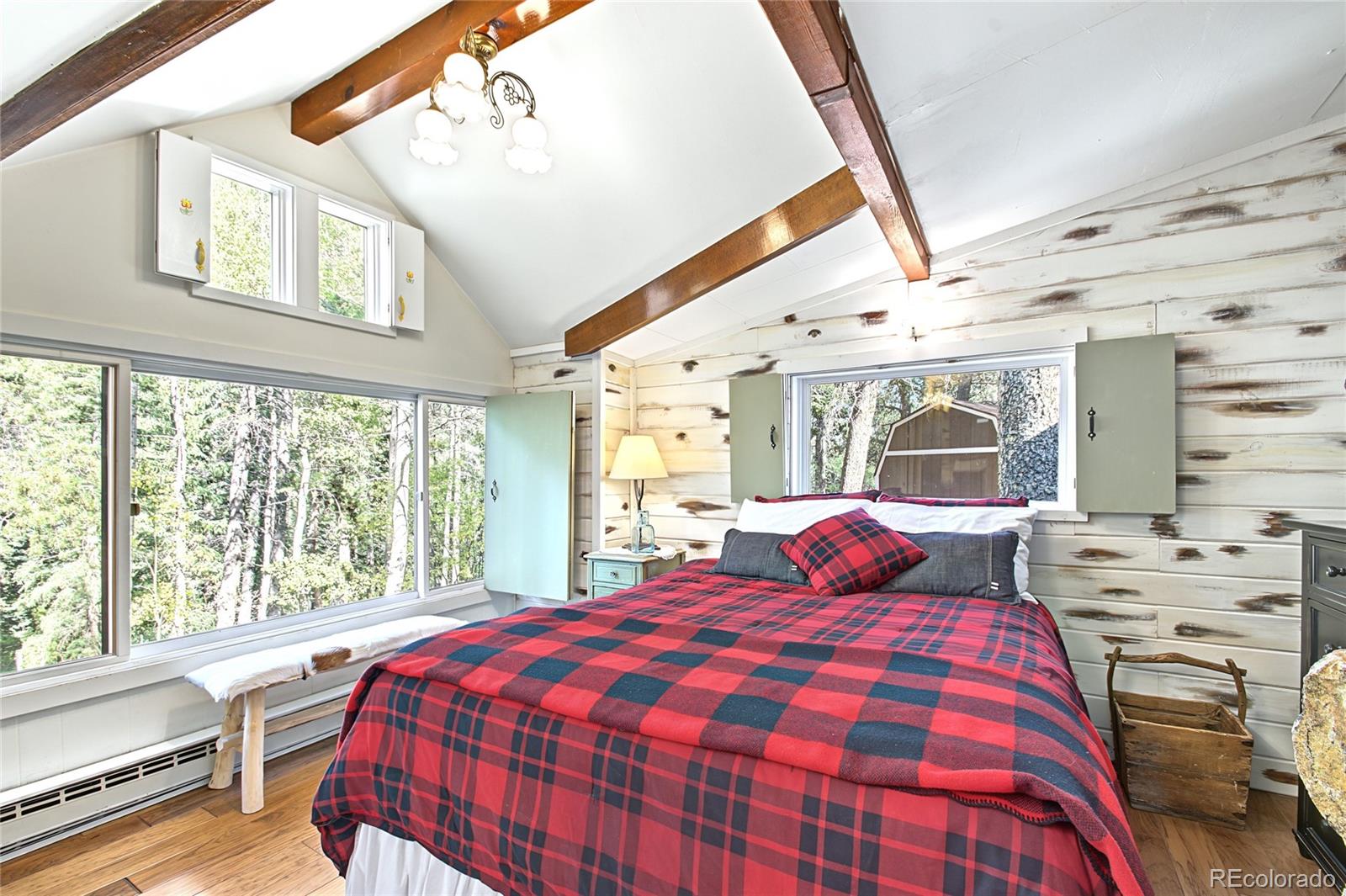MLS Image #18 for 7739  county road 43 ,bailey, Colorado