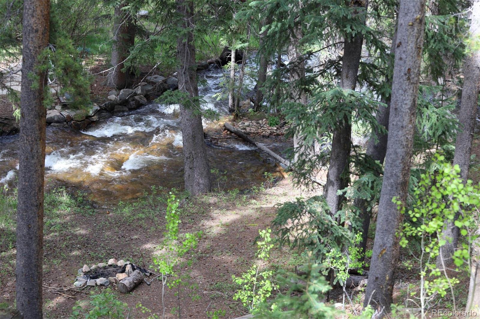 MLS Image #2 for 7739  county road 43 ,bailey, Colorado