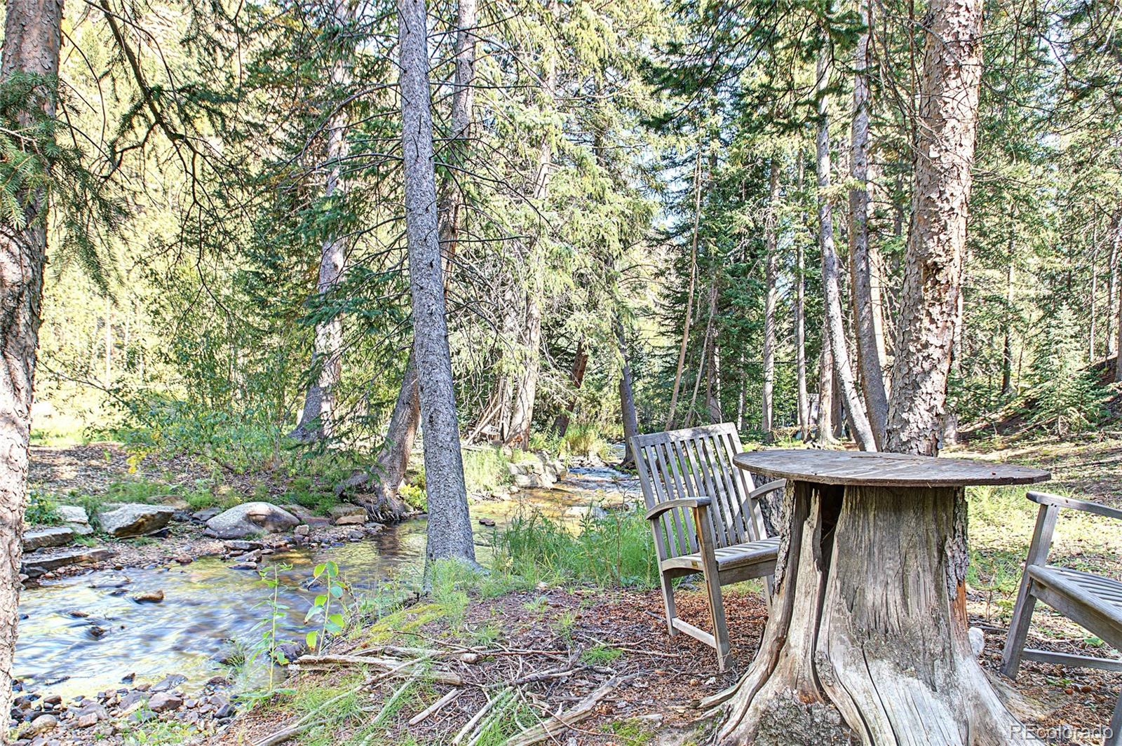 MLS Image #30 for 7739  county road 43 ,bailey, Colorado
