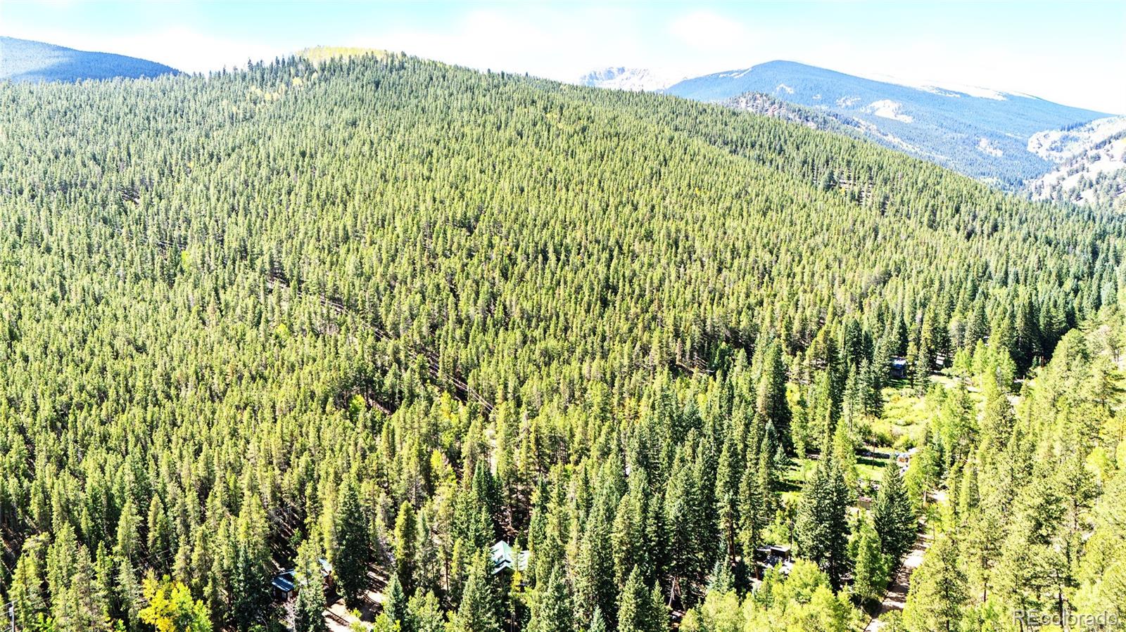 MLS Image #42 for 7739  county road 43 ,bailey, Colorado