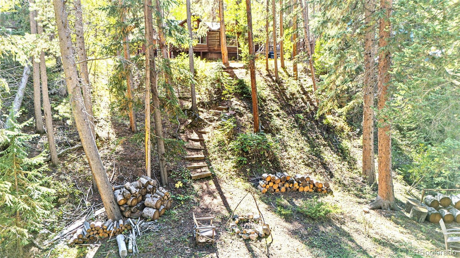 MLS Image #5 for 7739  county road 43 ,bailey, Colorado