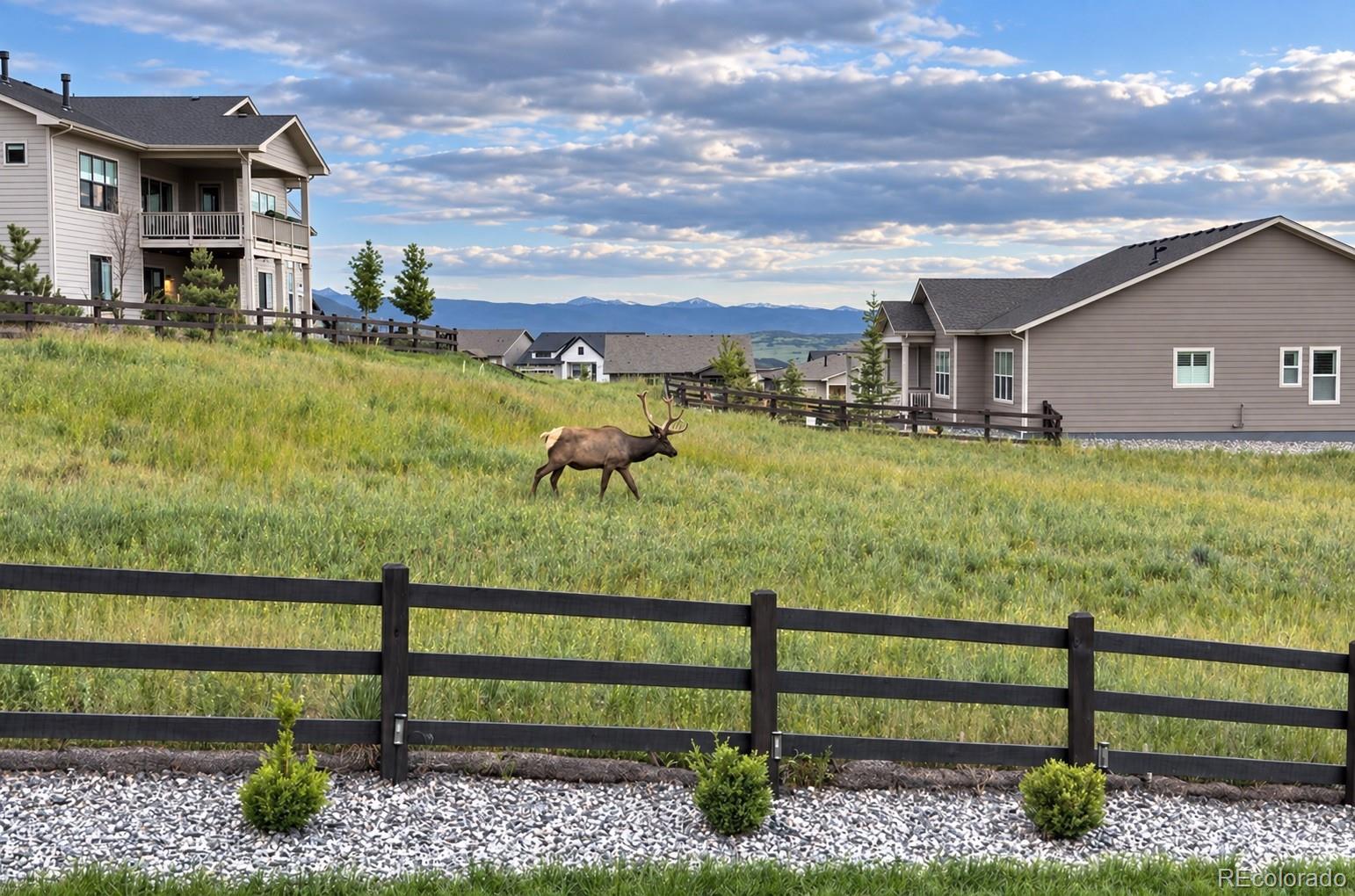 MLS Image #35 for 5345  edenborn way,castle rock, Colorado