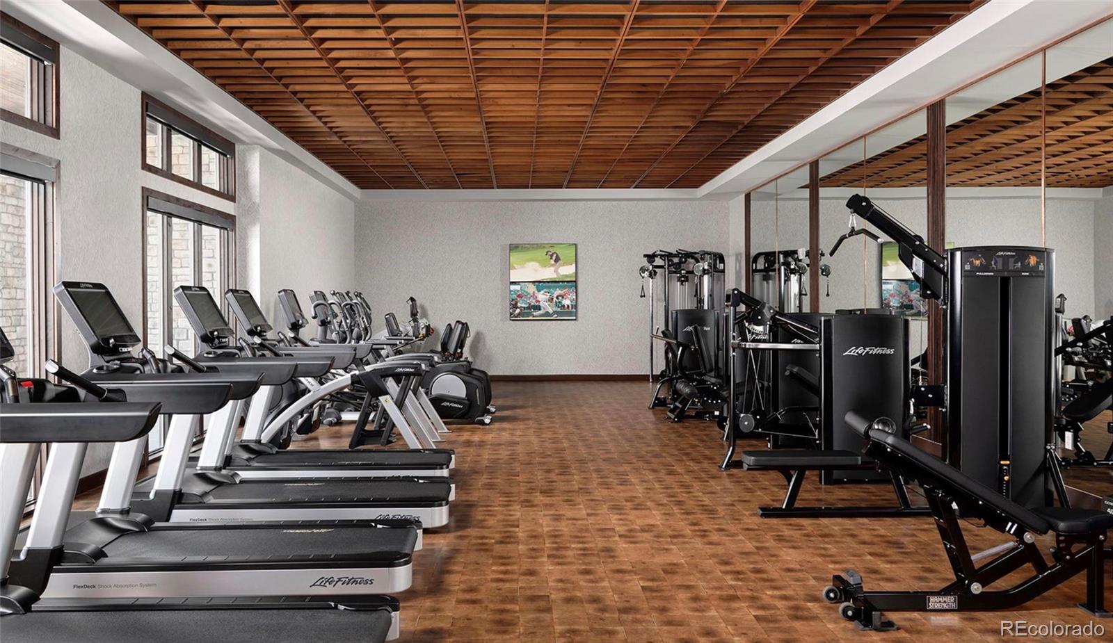 MLS Image #48 for 5345  edenborn way,castle rock, Colorado