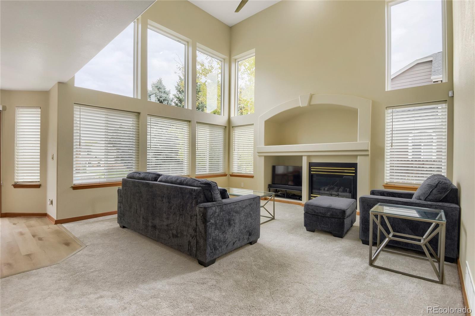MLS Image #10 for 9612  indian wells drive,lone tree, Colorado