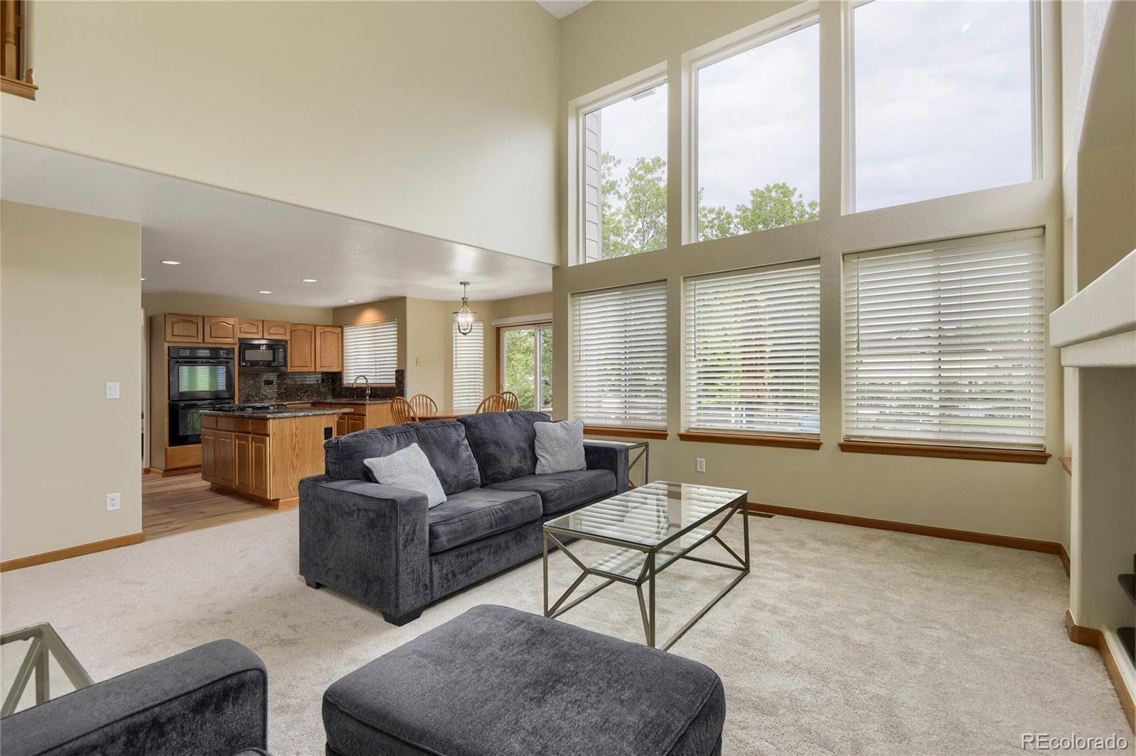 MLS Image #11 for 9612  indian wells drive,lone tree, Colorado