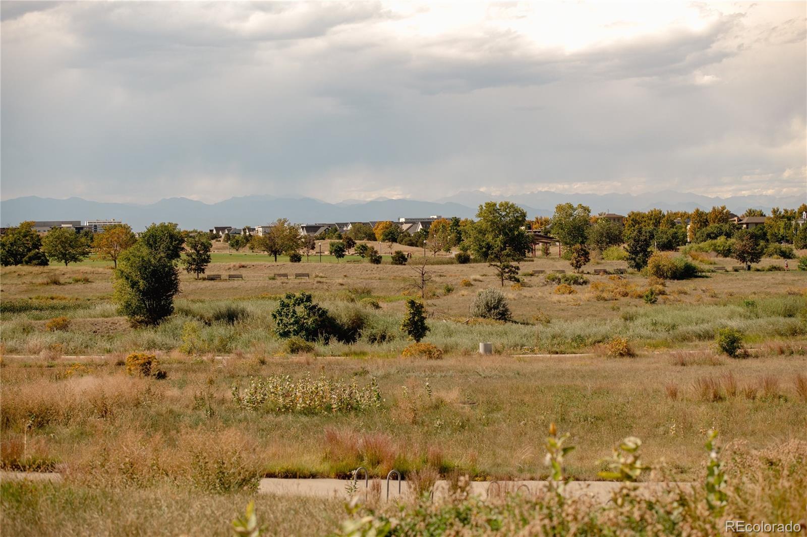 MLS Image #34 for 10007  martin luther king boulevard 101,denver, Colorado