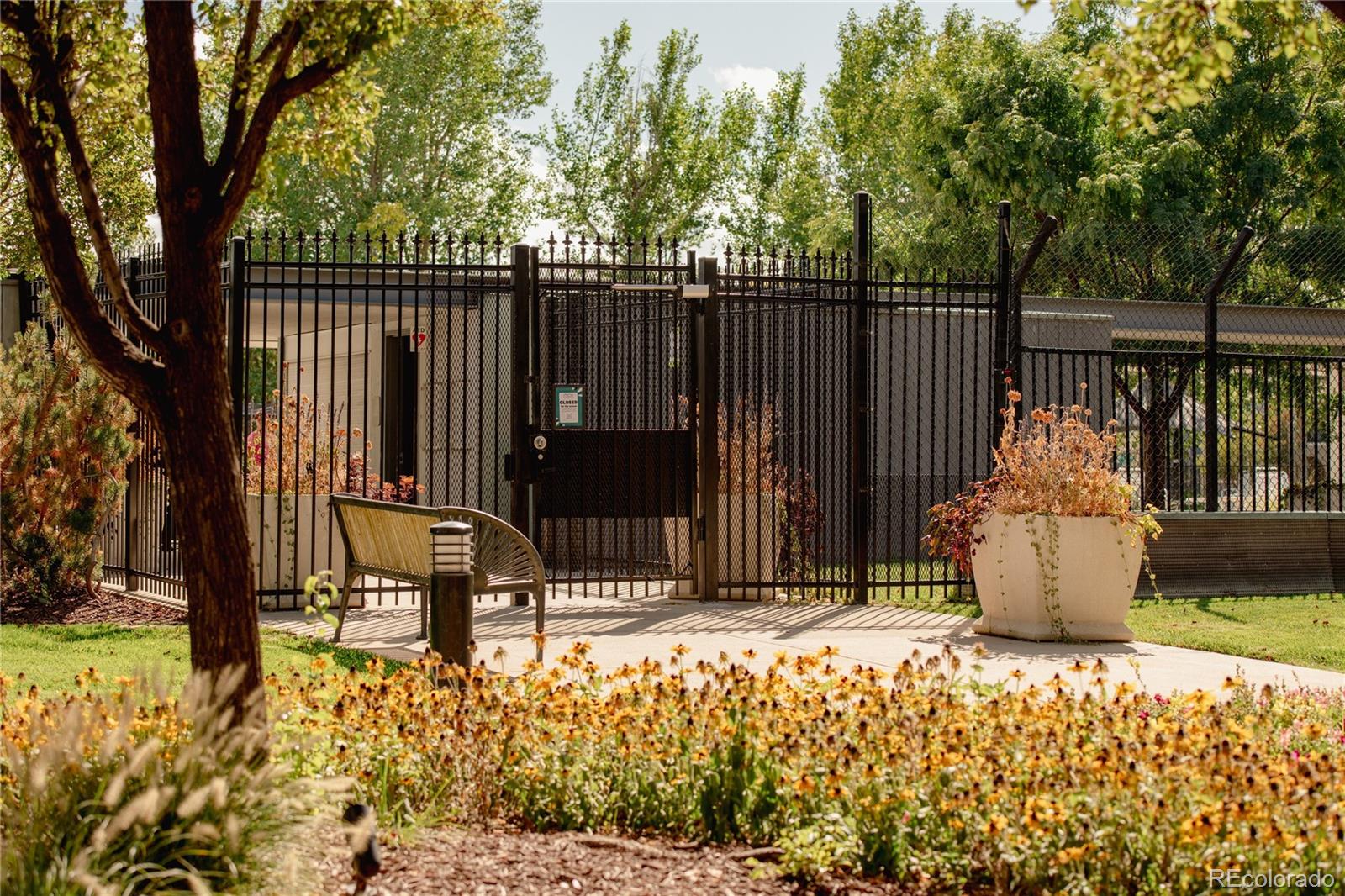 MLS Image #35 for 10007  martin luther king boulevard 101,denver, Colorado
