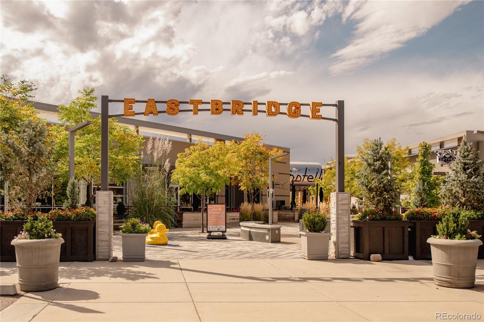 MLS Image #38 for 10007  martin luther king boulevard 101,denver, Colorado