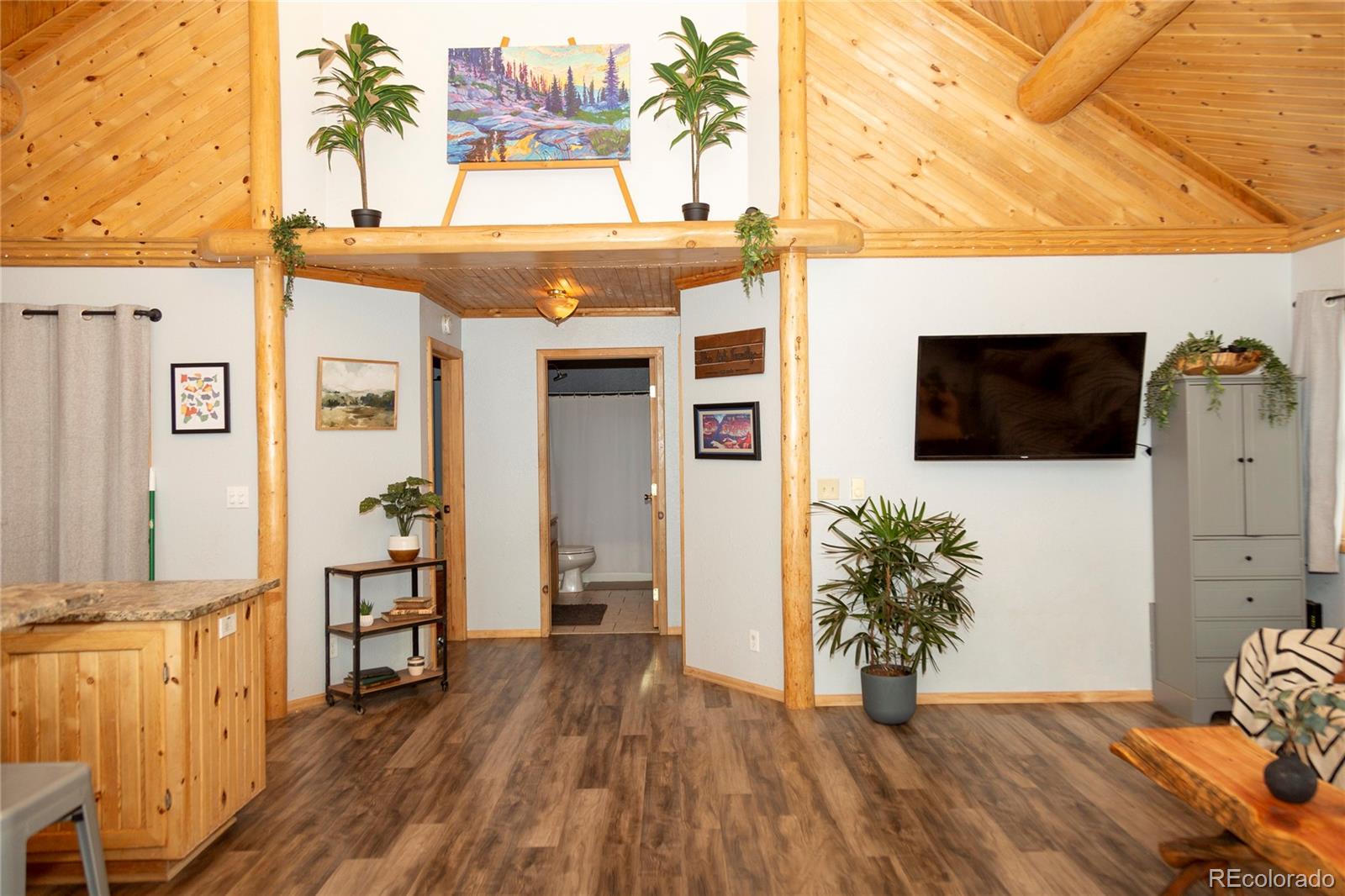 MLS Image #10 for 478  homestake drive,creede, Colorado