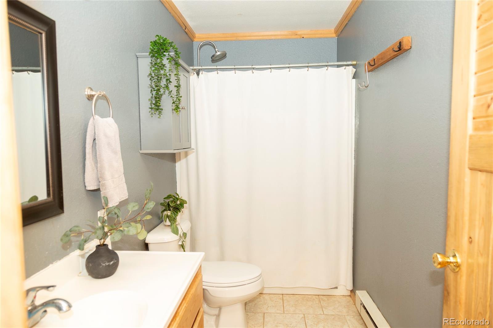 MLS Image #9 for 478  homestake drive,creede, Colorado