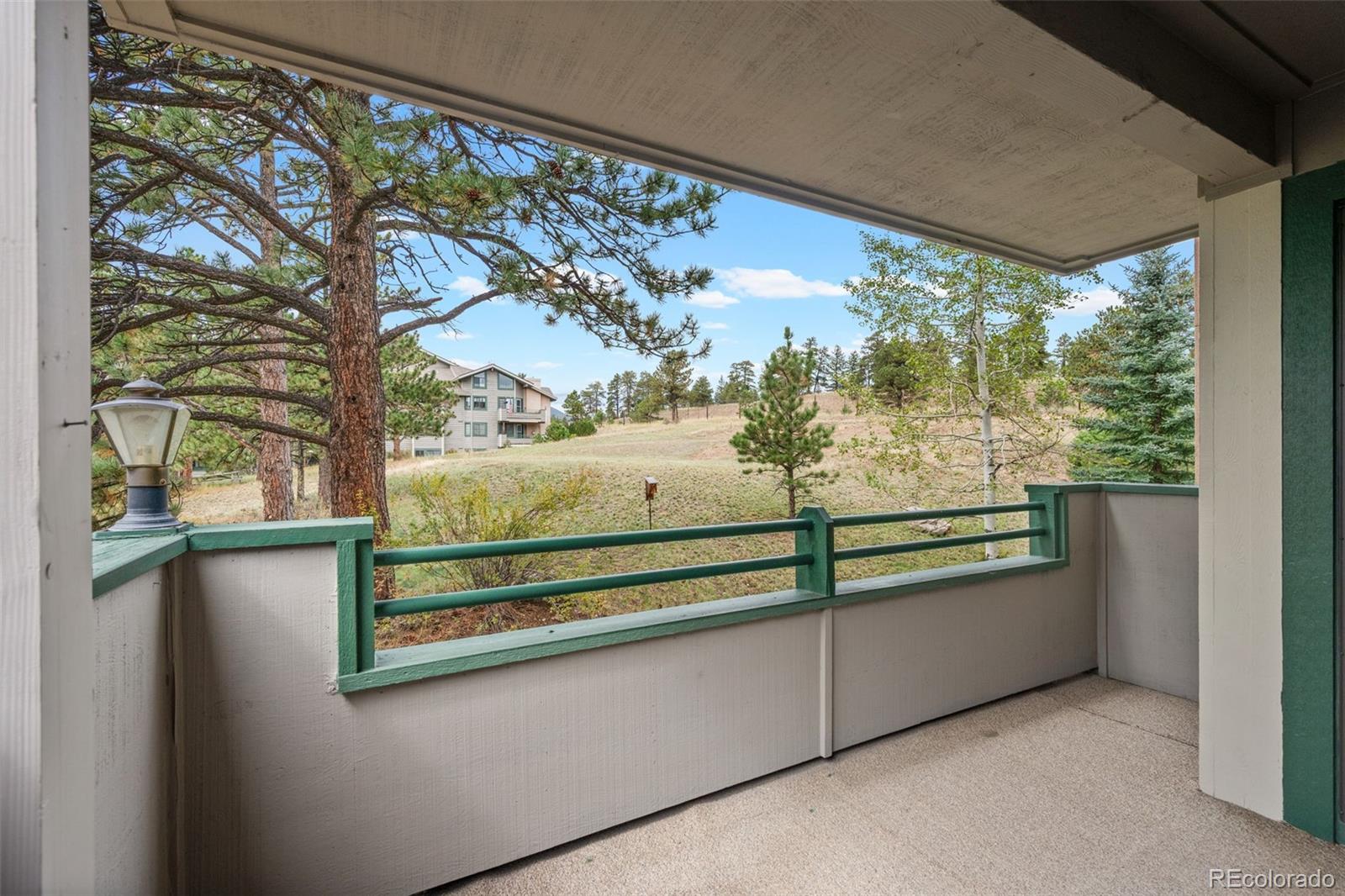 MLS Image #12 for 31719  rocky village drive,evergreen, Colorado