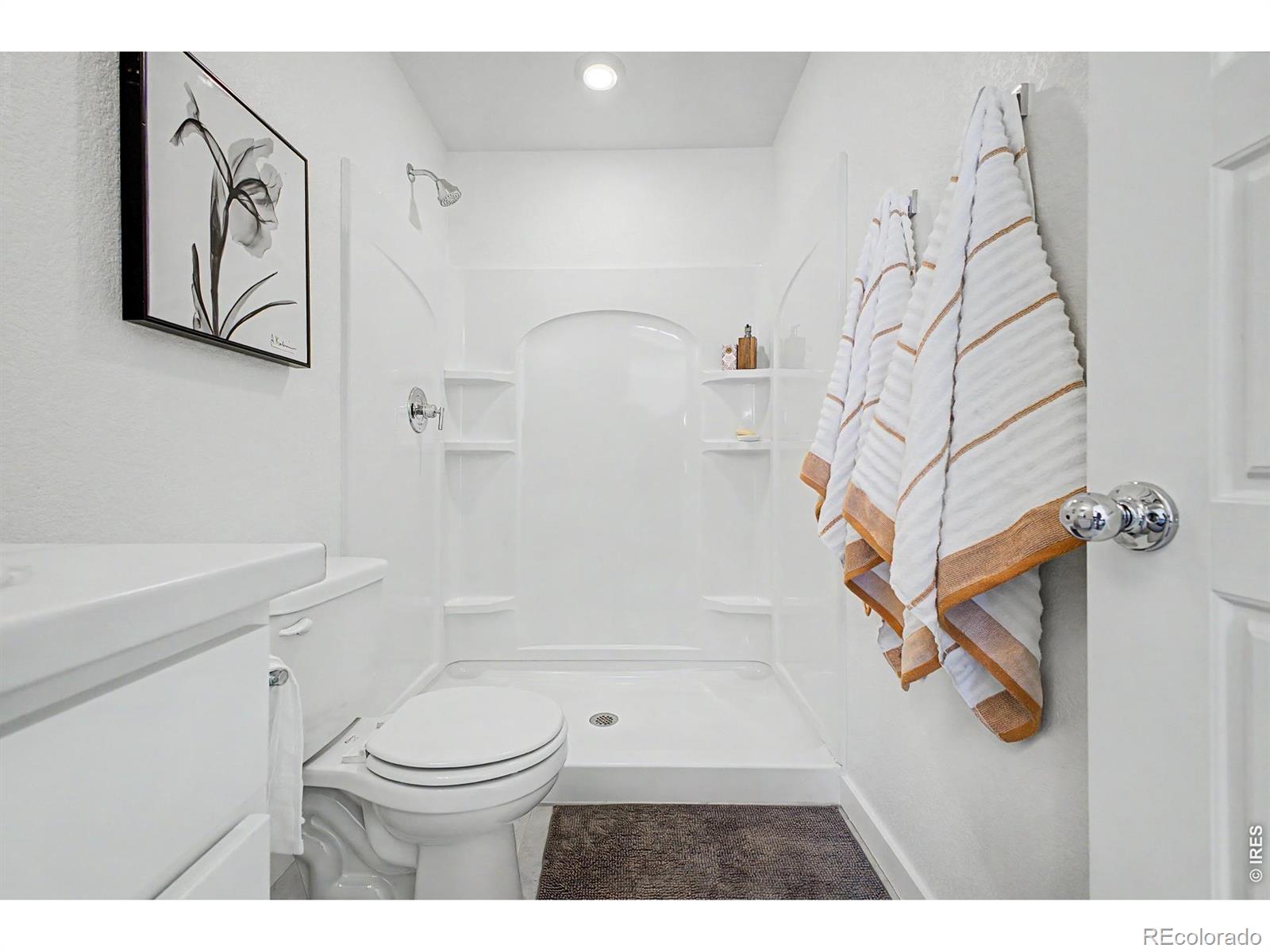MLS Image #21 for 533  condor way,johnstown, Colorado