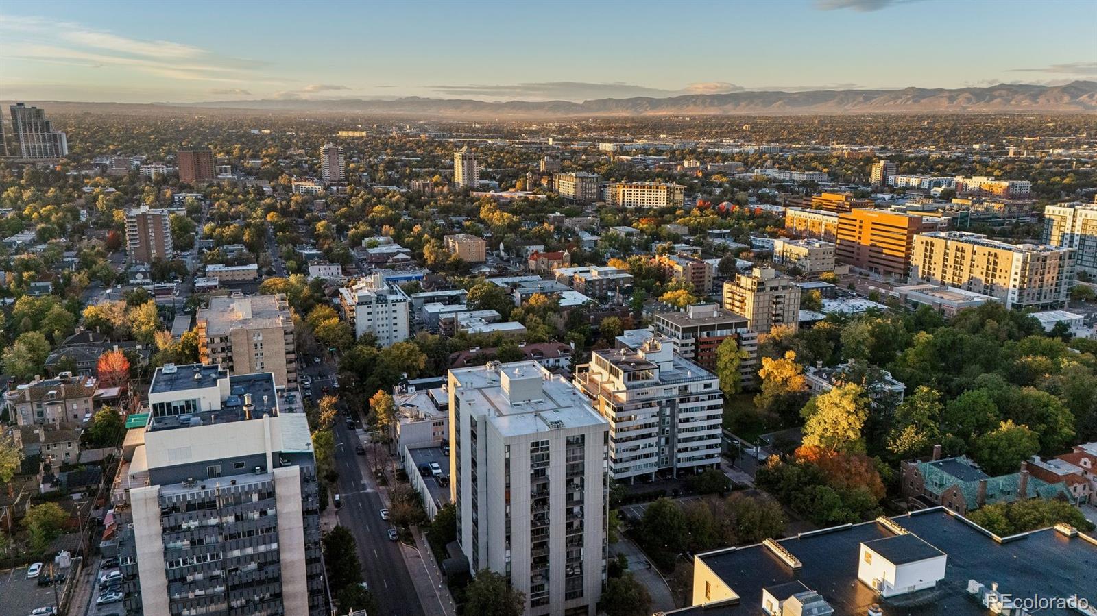 MLS Image #30 for 777 n washington street,denver, Colorado
