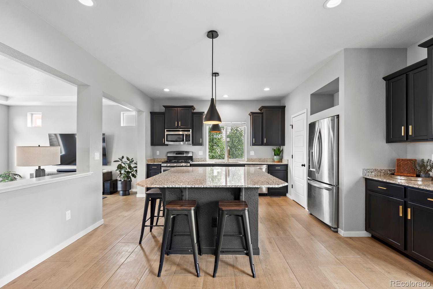 MLS Image #4 for 4429  vindaloo drive,castle rock, Colorado