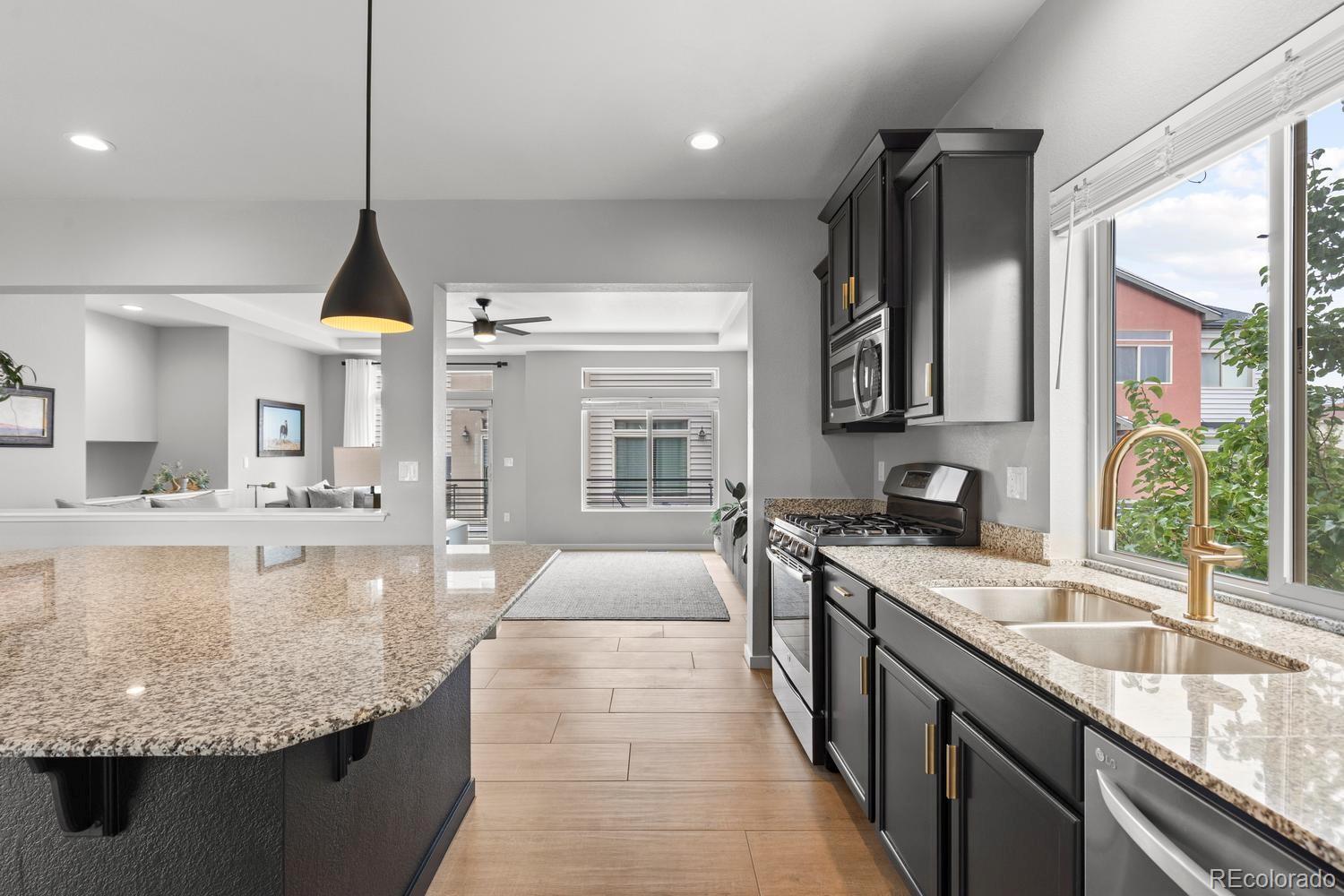 MLS Image #9 for 4429  vindaloo drive,castle rock, Colorado