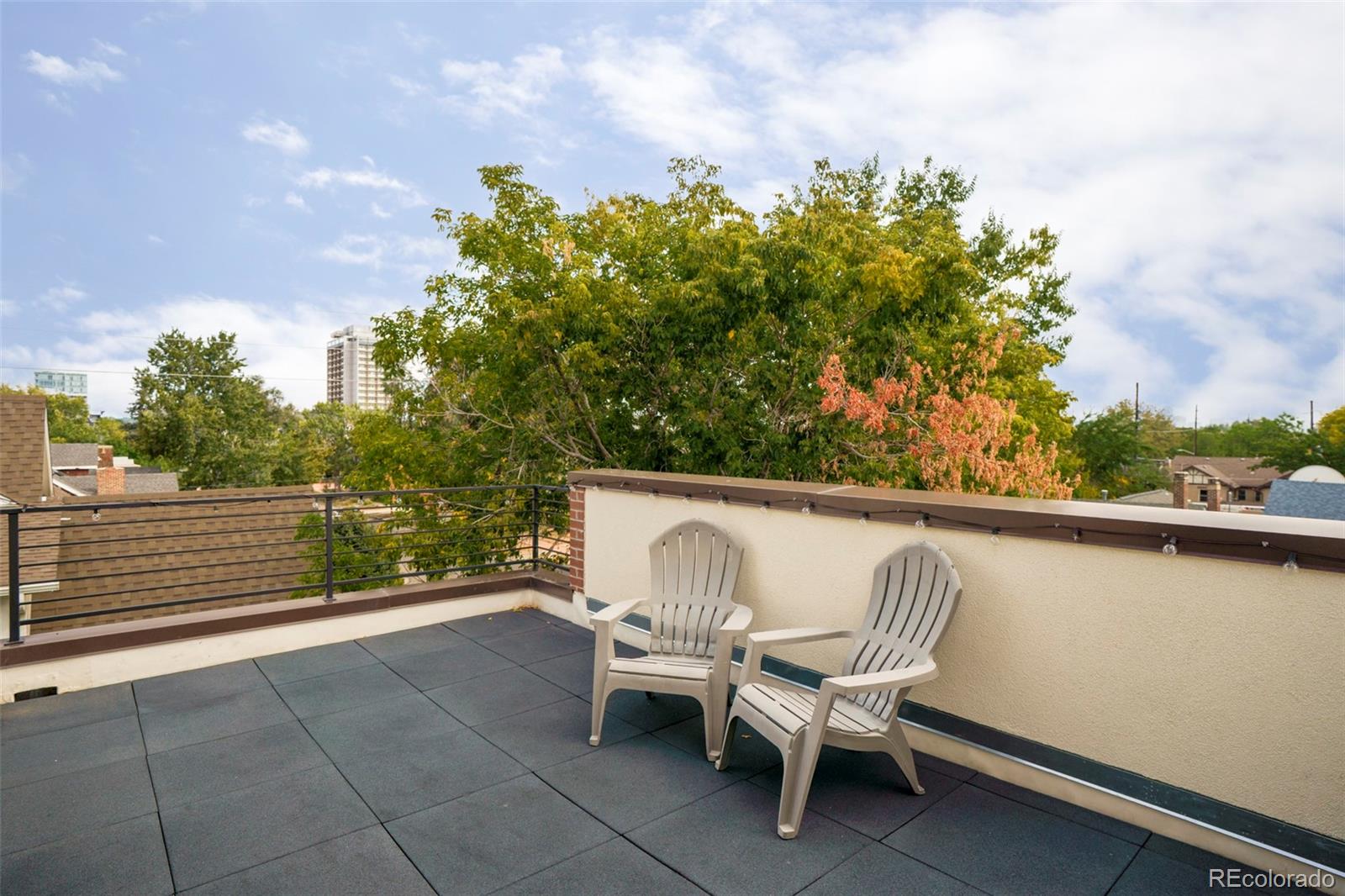 MLS Image #19 for 1385  raleigh street,denver, Colorado