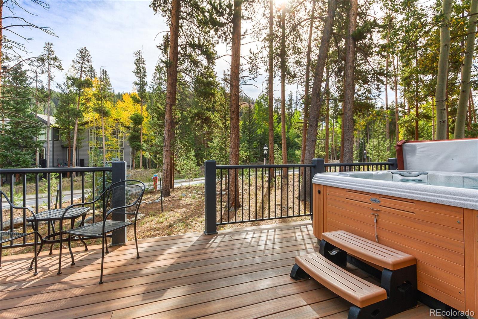 MLS Image #13 for 90  deep powder circle,breckenridge, Colorado