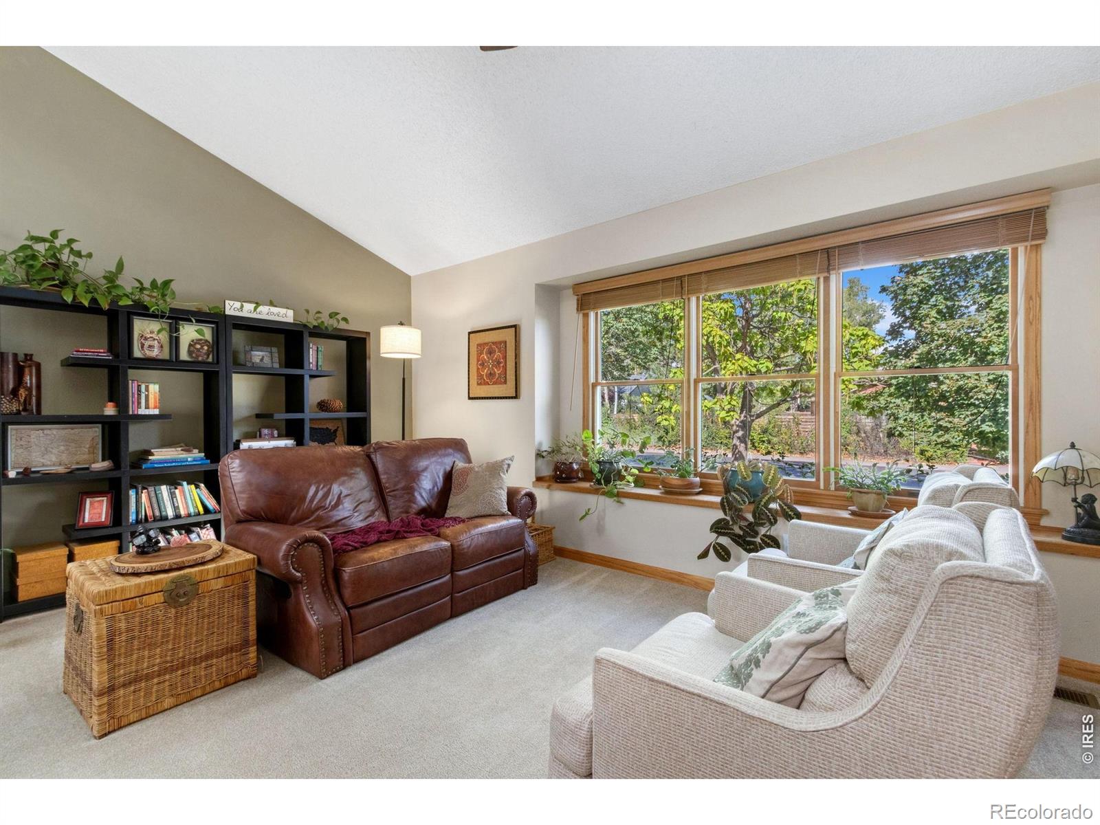 MLS Image #5 for 3355  oregon trail,fort collins, Colorado