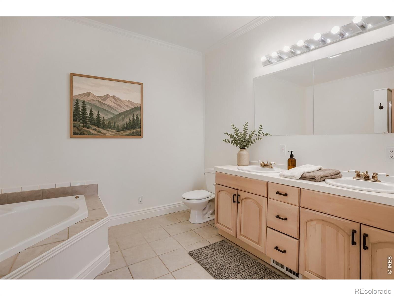 MLS Image #15 for 30  bridger trail,ward, Colorado
