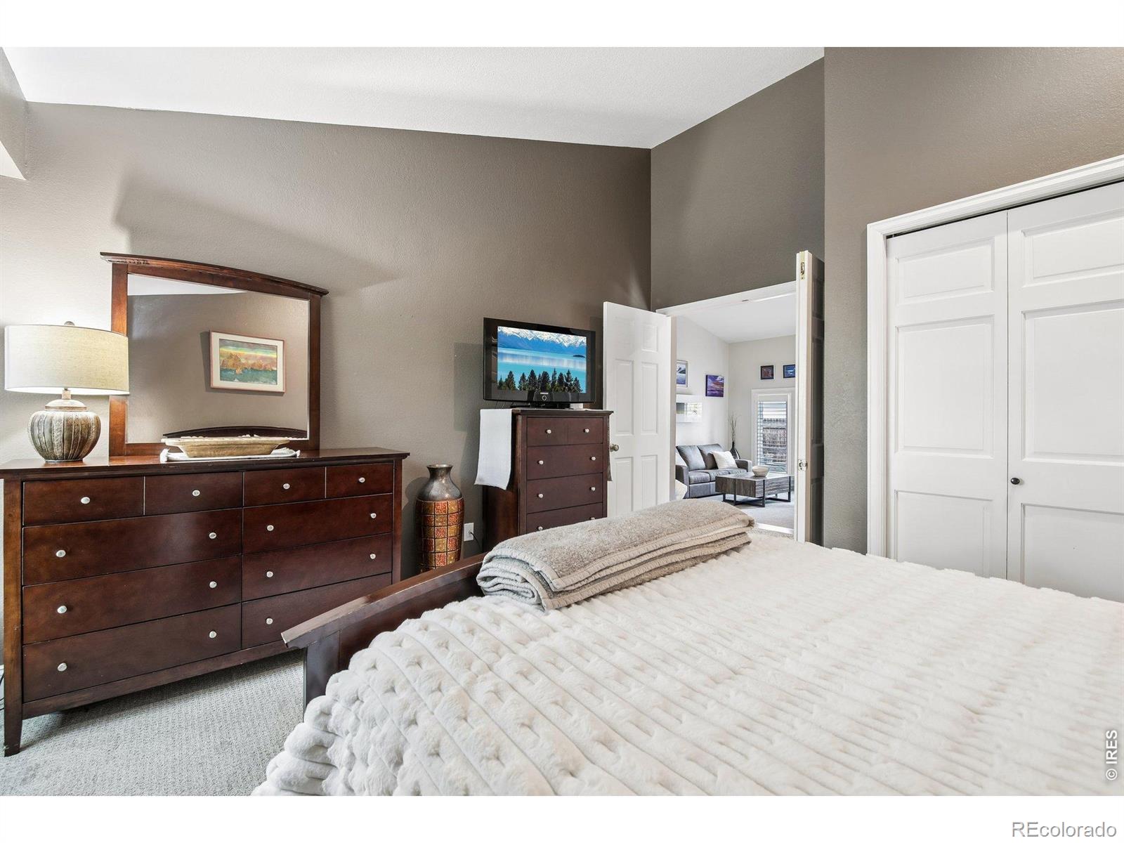 MLS Image #21 for 7100  dry creek court,niwot, Colorado
