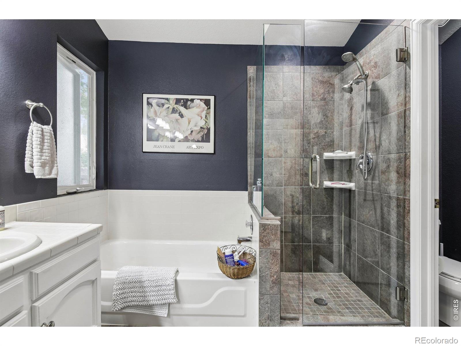 MLS Image #24 for 7100  dry creek court,niwot, Colorado