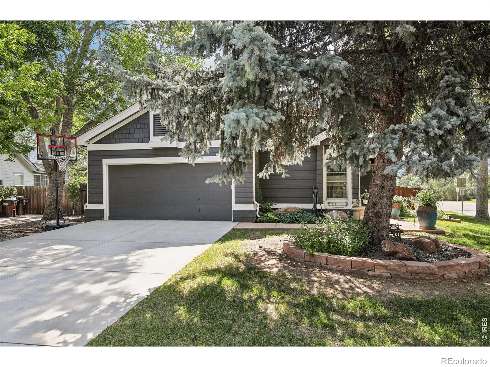 MLS Image #6 for 7100  dry creek court,niwot, Colorado