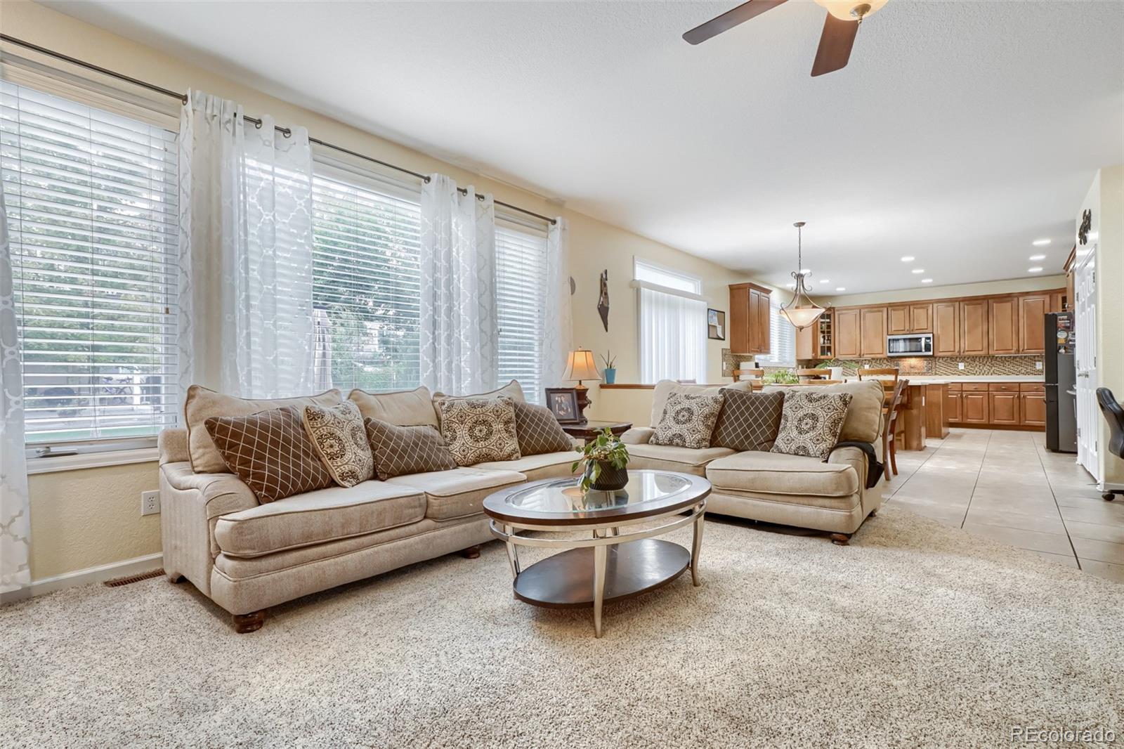MLS Image #12 for 6175 s fundy court,aurora, Colorado