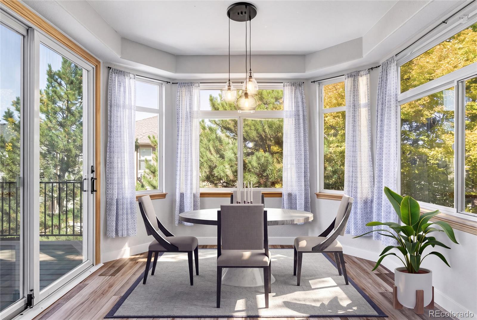 MLS Image #13 for 16893  boreas court,parker, Colorado