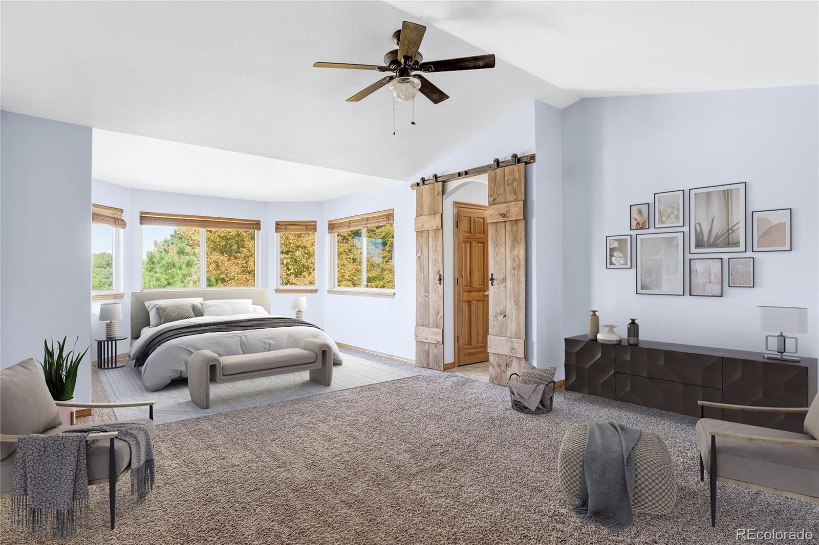 MLS Image #20 for 16893  boreas court,parker, Colorado
