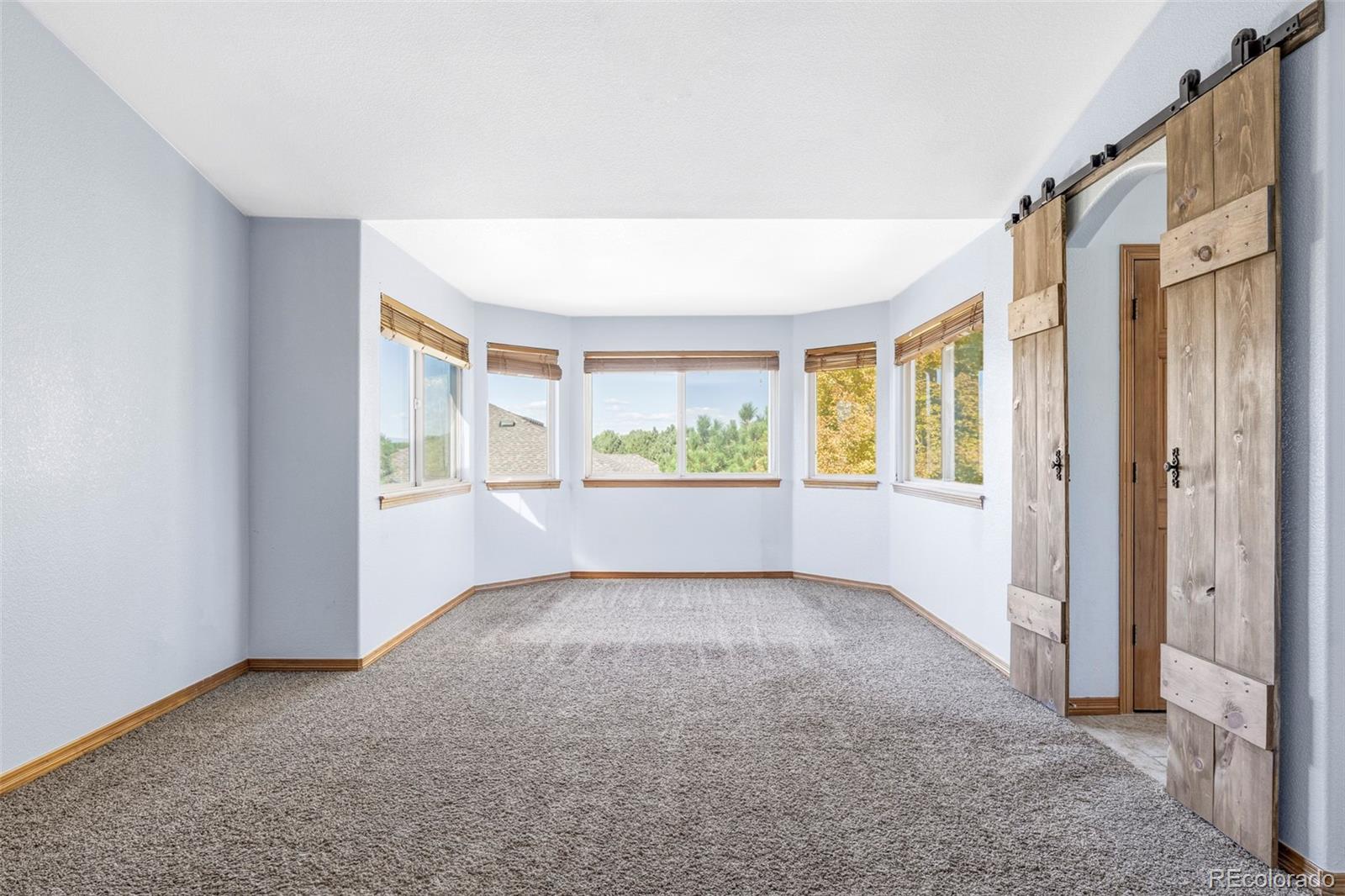MLS Image #22 for 16893  boreas court,parker, Colorado