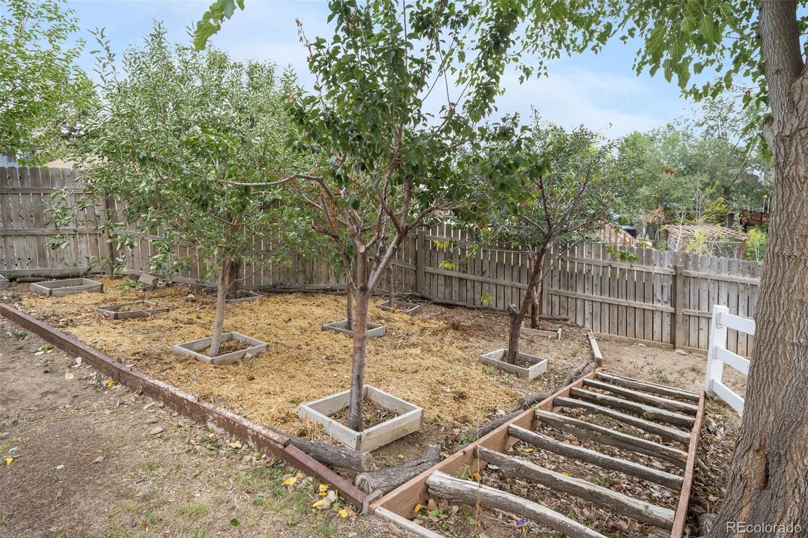 MLS Image #12 for 3340 e 99th way,thornton, Colorado