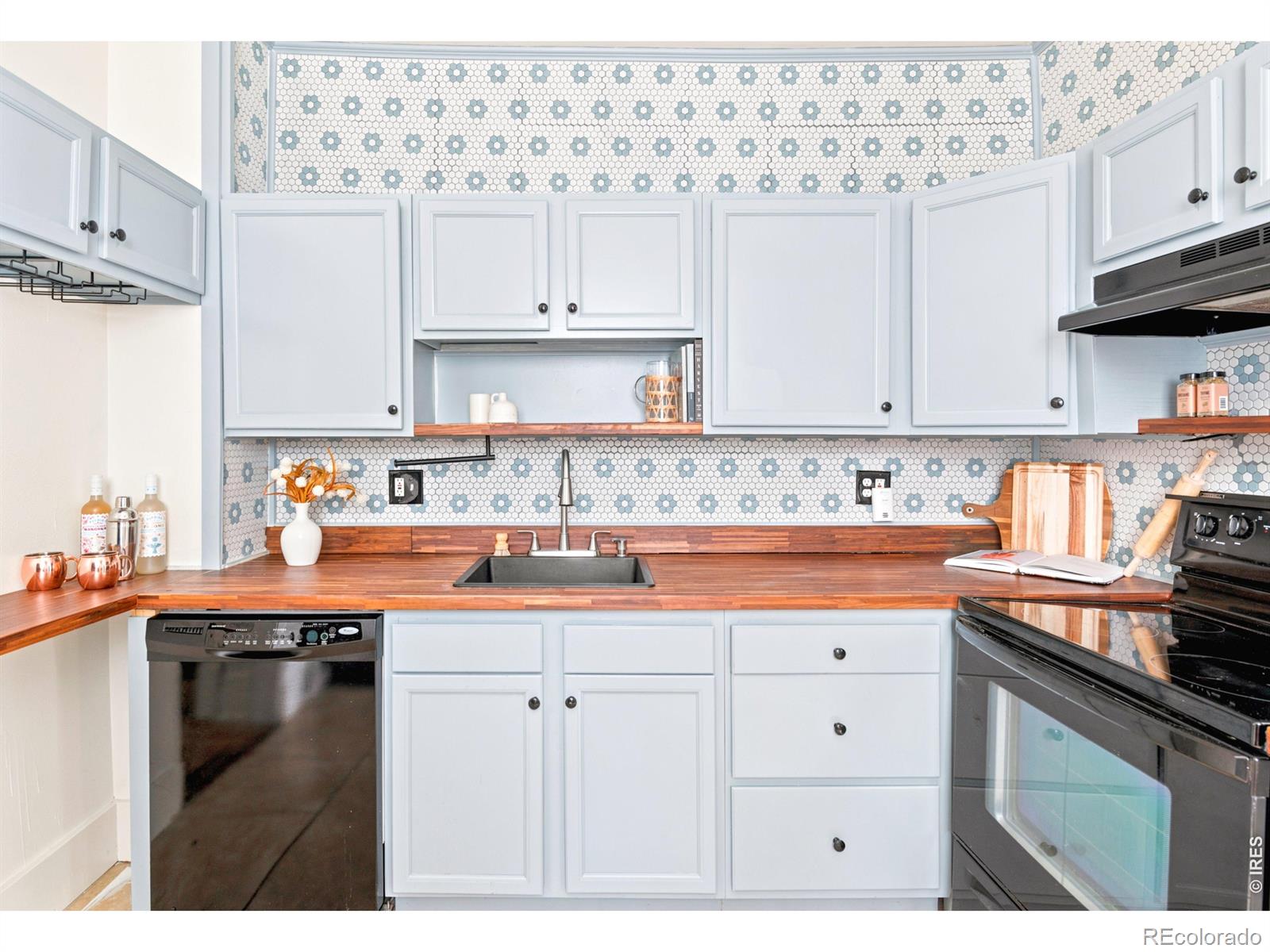MLS Image #10 for 2939 n josephine street,denver, Colorado