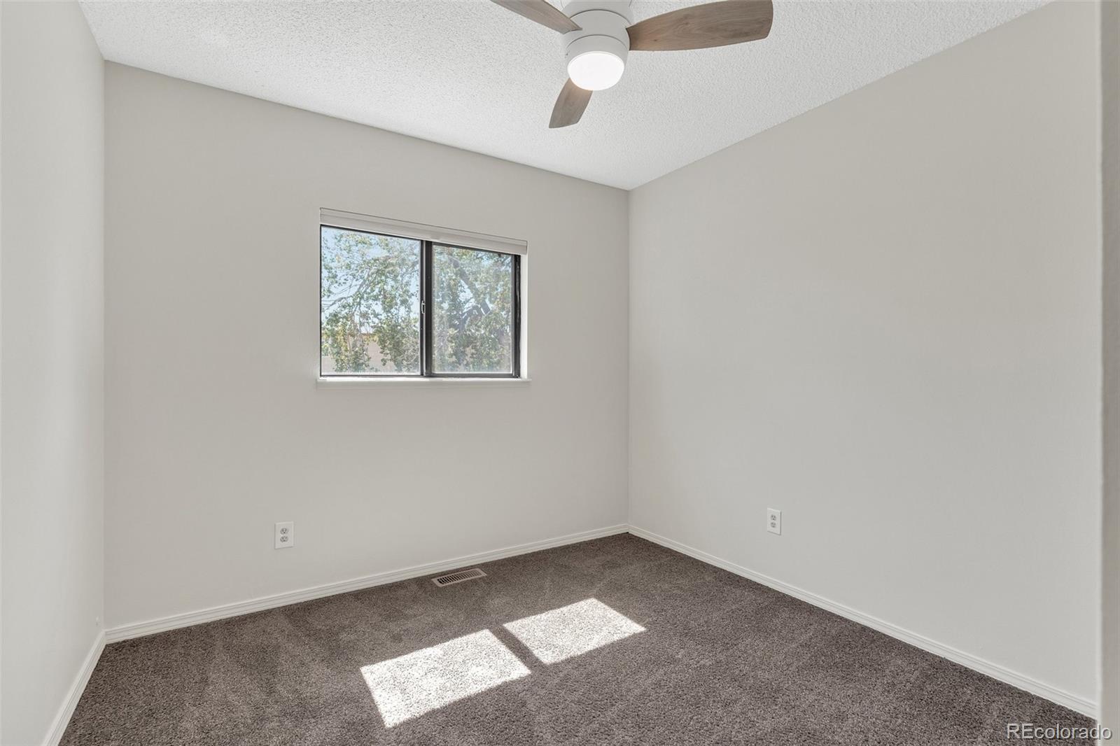 MLS Image #19 for 5555  alma terrace,colorado springs, Colorado