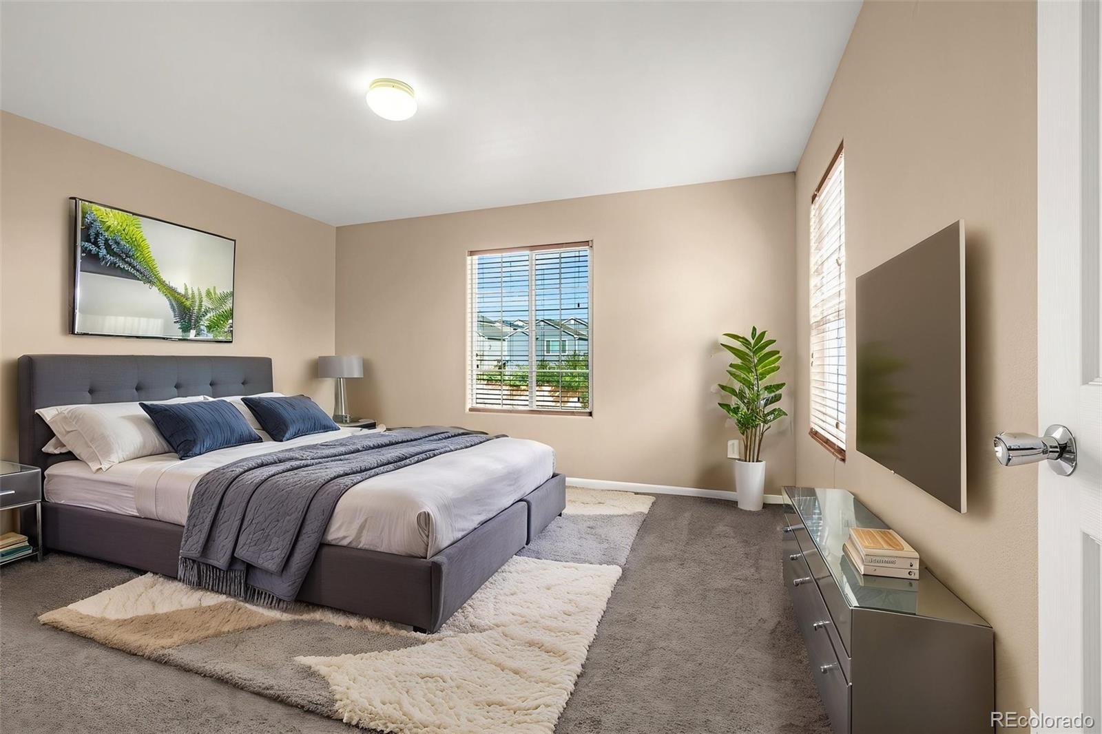MLS Image #11 for 7470  sandy springs point,fountain, Colorado