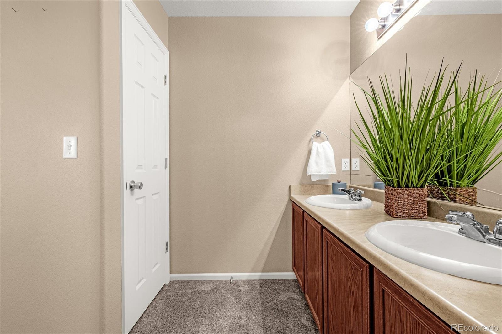 MLS Image #13 for 7470  sandy springs point,fountain, Colorado