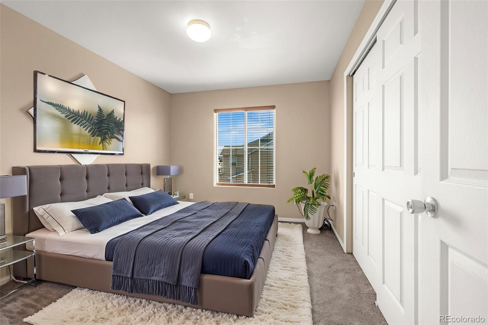MLS Image #15 for 7470  sandy springs point,fountain, Colorado